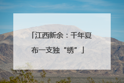 江西新余：千年夏布一支独“绣”