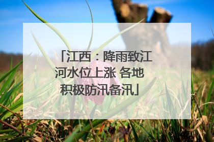 江西：降雨致江河水位上涨 各地积极防汛备汛