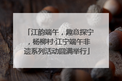 江韵端午，趣意探宁，杨柳村·江宁端午非遗系列活动圆满举行