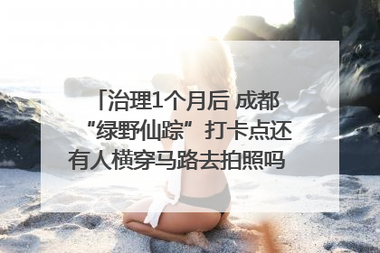 治理1个月后 成都“绿野仙踪”打卡点还有人横穿马路去拍照吗？｜民情瞭望