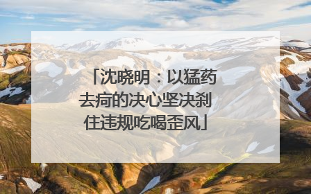 沈晓明：以猛药去疴的决心坚决刹住违规吃喝歪风