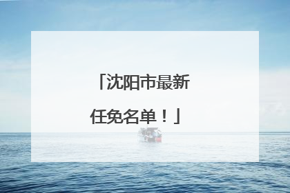 沈阳市最新任免名单！