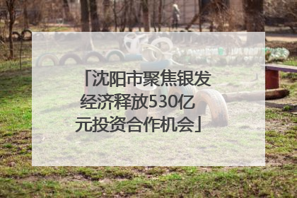 沈阳市聚焦银发经济释放530亿元投资合作机会