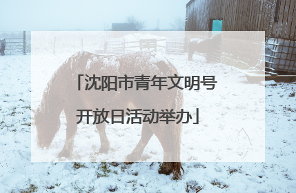 沈阳市青年文明号开放日活动举办