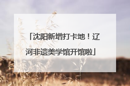 沈阳新增打卡地！辽河非遗美学馆开馆啦