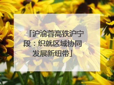 沪渝蓉高铁沪宁段：织就区域协同发展新纽带