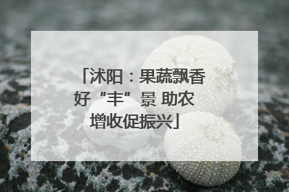 沭阳：果蔬飘香好“丰”景 助农增收促振兴