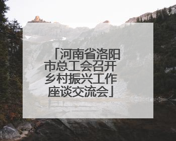 河南省洛阳市总工会召开乡村振兴工作座谈交流会