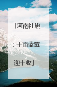 河南社旗：千亩蓝莓迎丰收