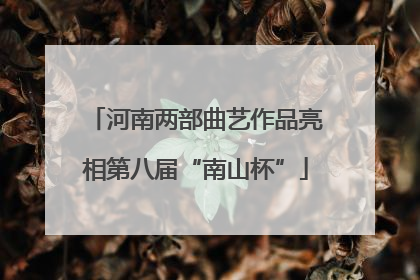河南两部曲艺作品亮相第八届“南山杯”