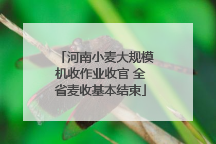 河南小麦大规模机收作业收官 全省麦收基本结束