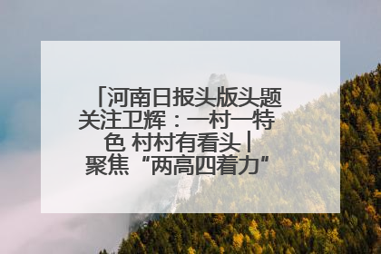 河南日报头版头题关注卫辉：一村一特色 村村有看头 ︳聚焦“两高四着力”·一“县”观察