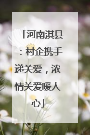 河南淇县：村企携手递关爱，浓情关爱暖人心