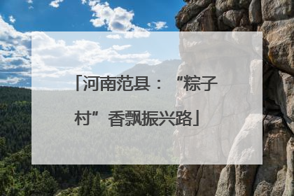 河南范县：“粽子村”香飘振兴路