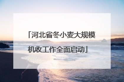 河北省冬小麦大规模机收工作全面启动
