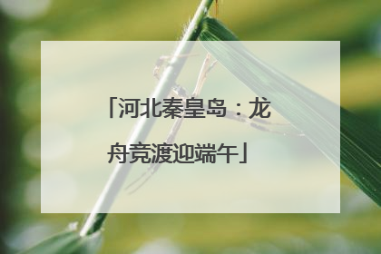 河北秦皇岛：龙舟竞渡迎端午