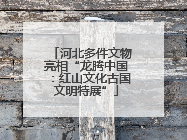 河北多件文物亮相“龙腾中国：红山文化古国文明特展”