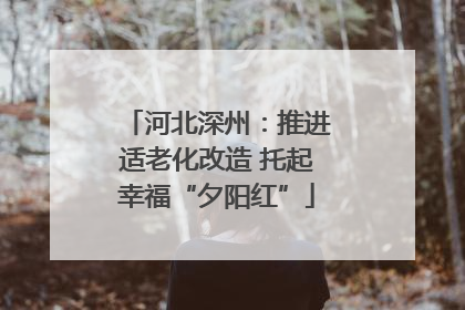 河北深州：推进适老化改造 托起幸福“夕阳红”
