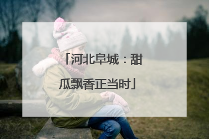 河北阜城：甜瓜飘香正当时