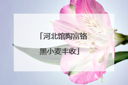 河北馆陶富铬黑小麦丰收