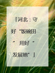 河北：守好“饭碗田” 用好“发展地”