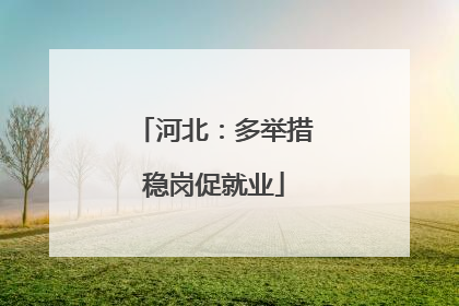 河北：多举措稳岗促就业