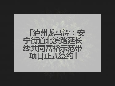 泸州龙马潭：安宁街道北滨路延长线共同富裕示范带项目正式签约