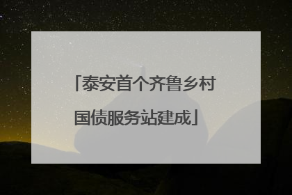 泰安首个齐鲁乡村国债服务站建成