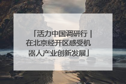 活力中国调研行｜在北京经开区感受机器人产业创新发展