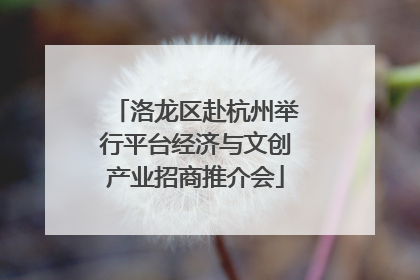 洛龙区赴杭州举行平台经济与文创产业招商推介会