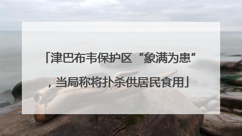 津巴布韦保护区“象满为患”，当局称将扑杀供居民食用