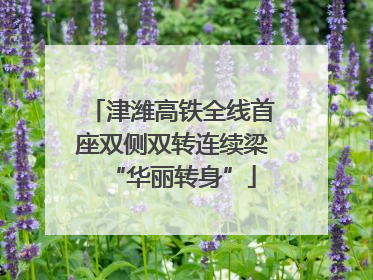 津潍高铁全线首座双侧双转连续梁“华丽转身”