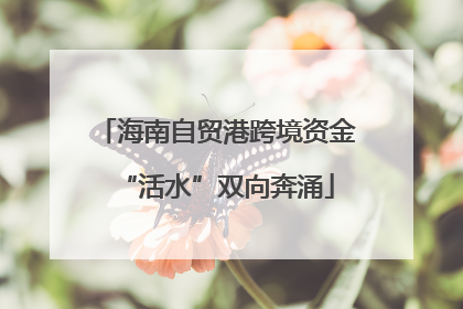 海南自贸港跨境资金“活水”双向奔涌