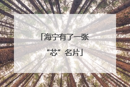 海宁有了一张“芯”名片