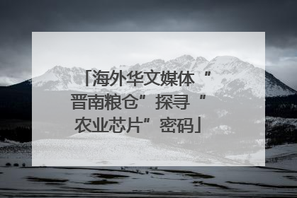 海外华文媒体“晋南粮仓”探寻“农业芯片”密码