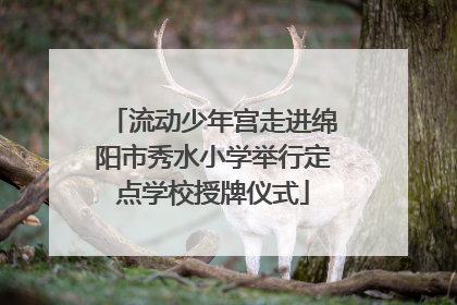 流动少年宫走进绵阳市秀水小学举行定点学校授牌仪式