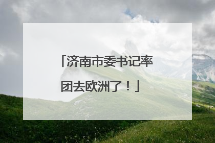 济南市委书记率团去欧洲了！