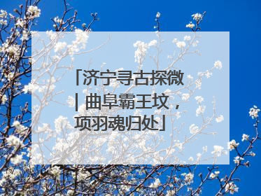 济宁寻古探微｜曲阜霸王坟，项羽魂归处