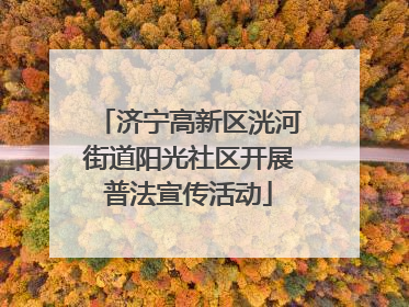 济宁高新区洸河街道阳光社区开展普法宣传活动