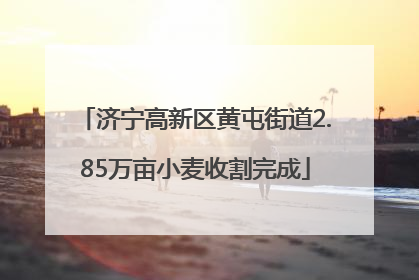 济宁高新区黄屯街道2.85万亩小麦收割完成
