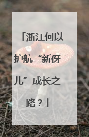 浙江何以护航“新伢儿”成长之路？