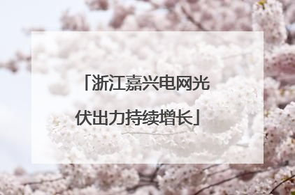 浙江嘉兴电网光伏出力持续增长