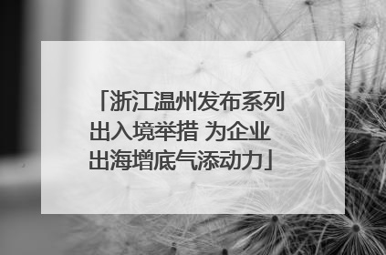 浙江温州发布系列出入境举措 为企业出海增底气添动力