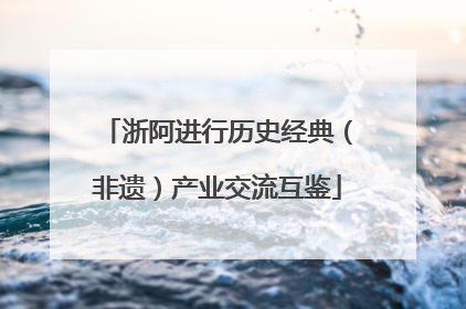 浙阿进行历史经典（非遗）产业交流互鉴