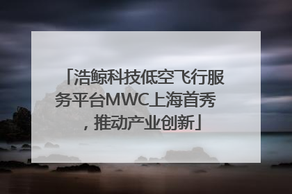 浩鲸科技低空飞行服务平台MWC上海首秀，推动产业创新