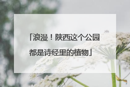浪漫！陕西这个公园都是诗经里的植物