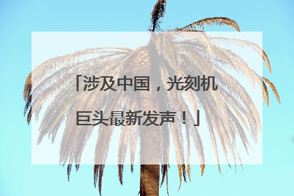 涉及中国，光刻机巨头最新发声！