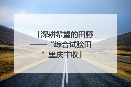 深耕希望的田野——“综合试验田”里庆丰收