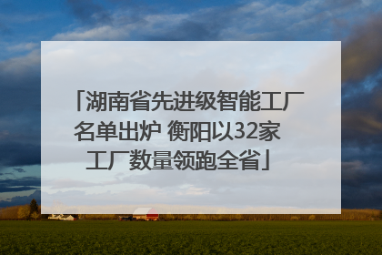 湖南省先进级智能工厂名单出炉 衡阳以32家工厂数量领跑全省