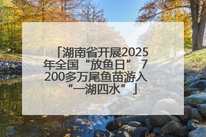 湖南省开展2025年全国“放鱼日” 7200多万尾鱼苗游入“一湖四水”